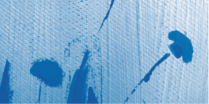 widget image